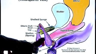 The second part of the squitting tutorial by Mr PussyLicking is available