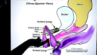 How to Squirt?! Explained FAST!!! by Mr PussyLicking, a must-see!