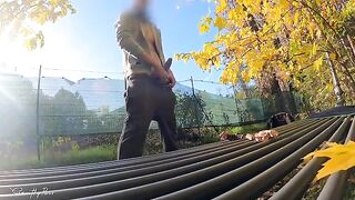 Guy showed his dick to the hot MILF in the park