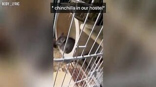 A couple has sex in a capsule hostel and embarks on a big city journey