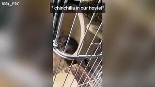 A couple has sex in a capsule hostel and embarks on a big city journey