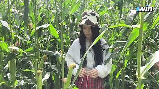 A security guard caught a thief in the act in the cornfield and issued a ticket