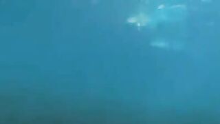 Fucking divers in underwater scenery with amazing bodies and equipment