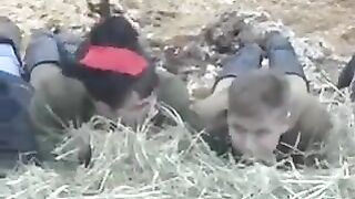 Brought the heifer to the barn and fucked in the hay
