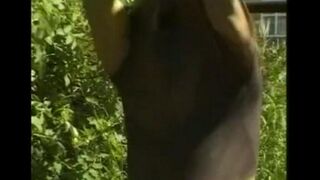 A man masturbates his big dick in the hayloft, experiencing intense pleasure