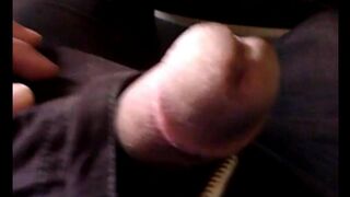 I removed the guy's dick from his pants and started jerking it on the bus