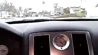 Nikki makes a blowjob right in the car