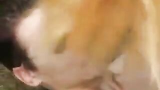 Cute girl was walking in the park and had sex with a guy
