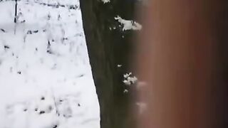 A couple tried to freeze their intimate moment, inspired by the "Freeze" effect