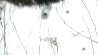 Winter street blowjob with a beautiful view - Eporn