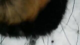 Winter street blowjob with a beautiful view - Eporn