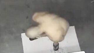 A naked man has been spied on in the shower, and it’s quite exciting