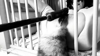 A day in the life of a Kitten: Ep.1 - Spraying on her tail, a spicy tribute to feline fantasies