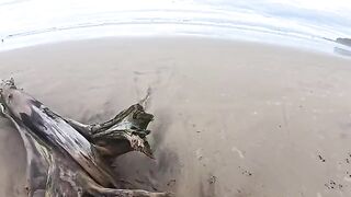 The girl gave a blowjob to her guy at the beach, showcasing passion